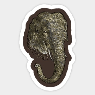 Graphic Novel Style Head And Trunk Of An Asiatic Elephant Vector Sticker